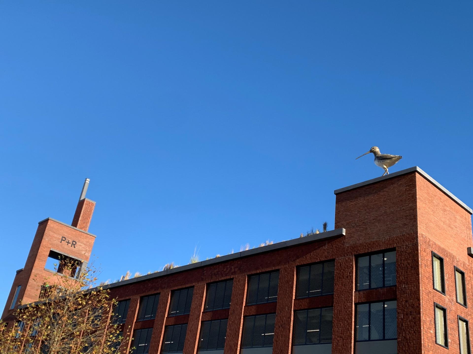 gebouw van parkeergarage met op het dak het beeld van een snip